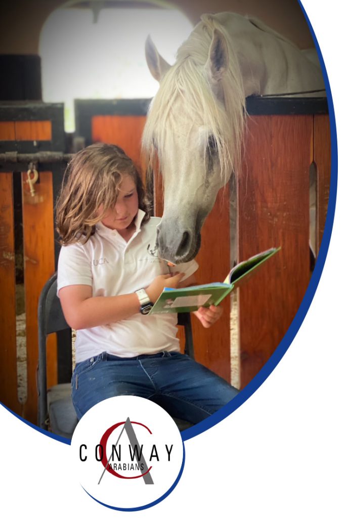 black stallion reading project fundraiser ocala florida 